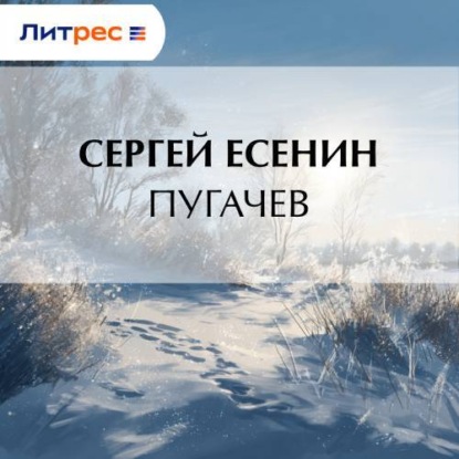 Скачать книгу Пугачев