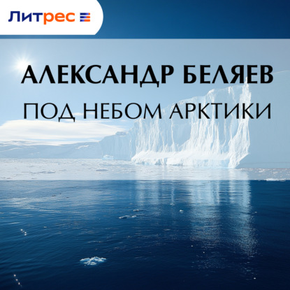 Скачать книгу Под небом Арктики