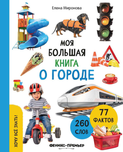Скачать книгу Моя большая книга о городе