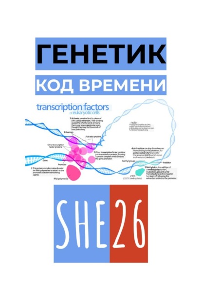 Скачать книгу Генетик. Код времени