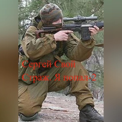 Скачать книгу Страж. Я попал – 2