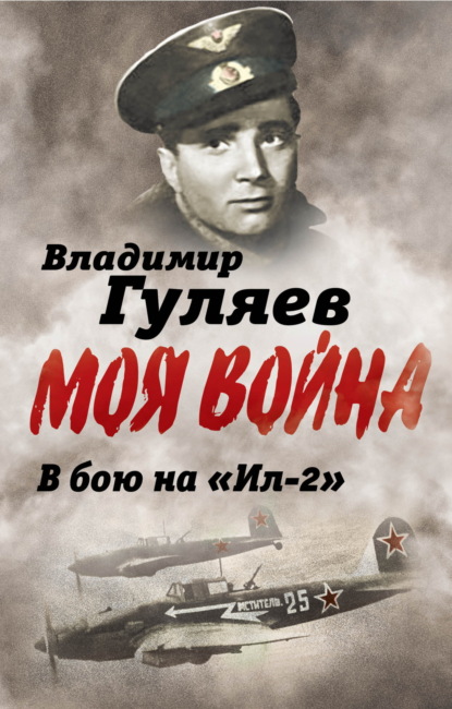 Скачать книгу В бой на «Ил-2». Нас называли «черной смертью»