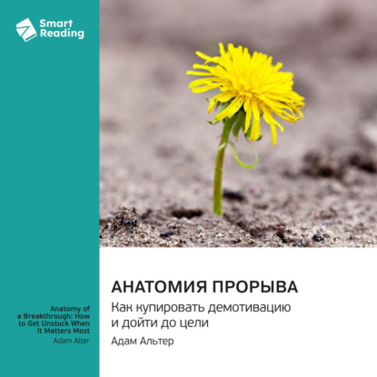 Скачать книгу Анатомия прорыва. Как купировать демотивацию и дойти до цели. Адам Альтер. Саммари