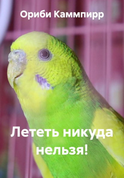 Скачать книгу Лететь никуда нельзя!