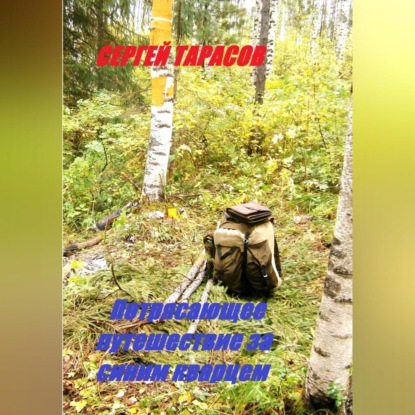 Скачать книгу Потрясающее путешествие за синим кварцем