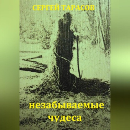 Скачать книгу Незабываемые чудеса