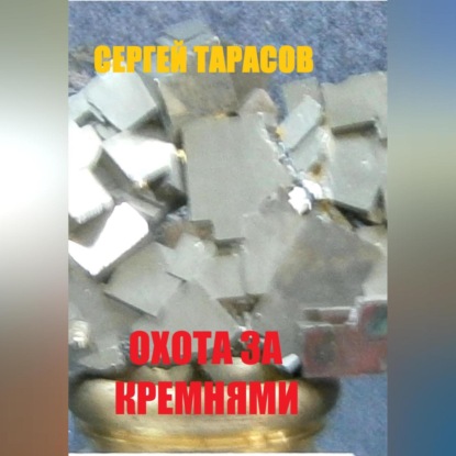 Скачать книгу Охота за кремнями