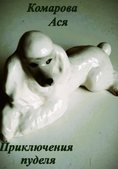 Скачать книгу Приключения пуделя