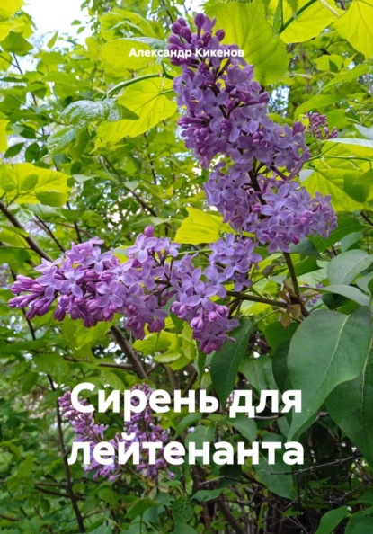 Скачать книгу Сирень для лейтенанта