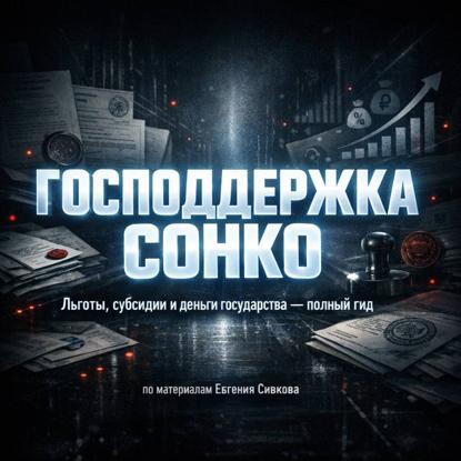 Скачать книгу СОНКО-2026: как получить поддержку и не попасть под проверку