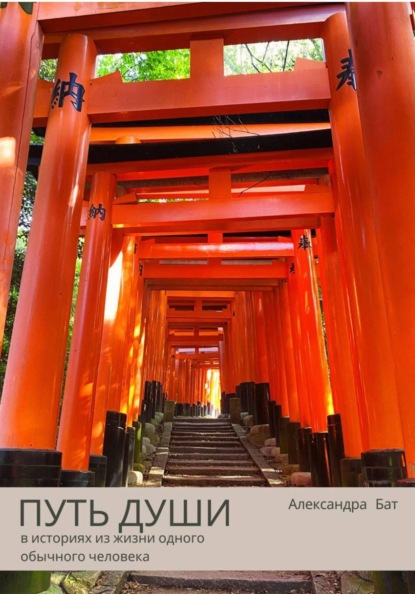 Скачать книгу ПУТЬ ДУШИ в историях из жизни одного обычного человека