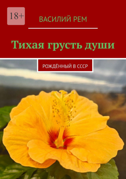 Скачать книгу Тихая грусть души. Рождённый в СССР