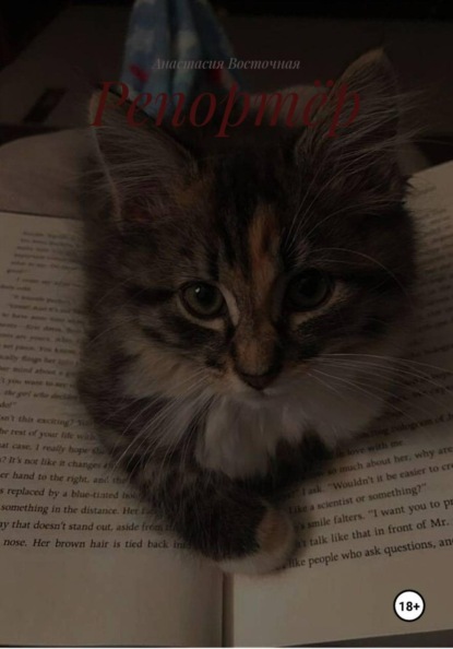 Скачать книгу Репортёр