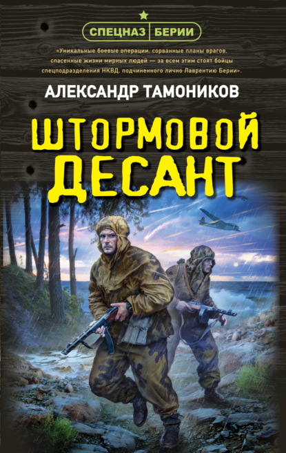 Скачать книгу Штормовой десант