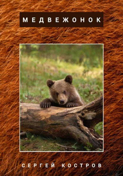 Скачать книгу Медвежонок