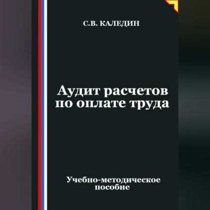 Скачать книгу Аудит расчетов по оплате труда