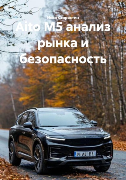 Скачать книгу Aito M5 анализ рынка и безопасность