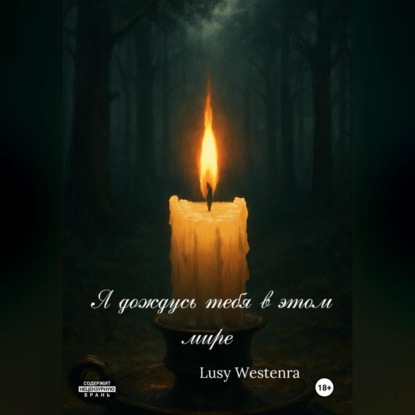 Я дождусь тебя в этом мире