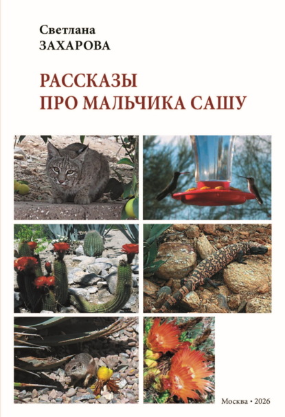 Скачать книгу Рассказы про мальчика Сашу