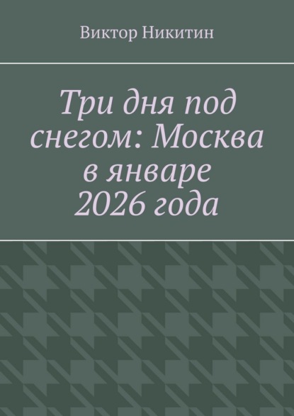 Три дня под снегом: Москва в январе 2026 года