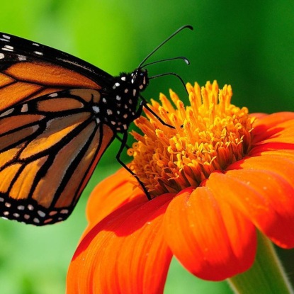 Скачать книгу im-qqwa 02