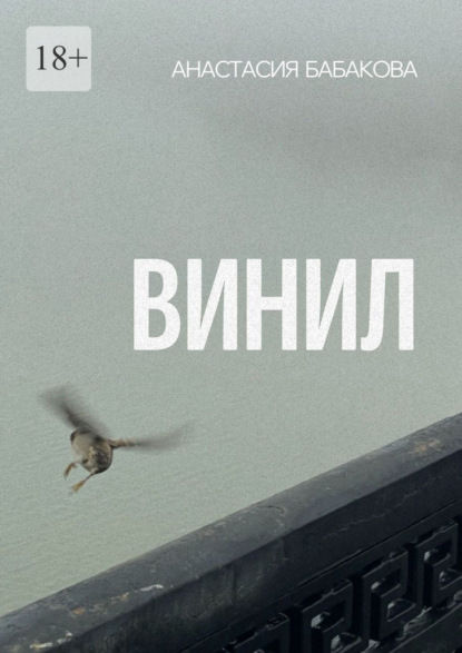 Скачать книгу Винил