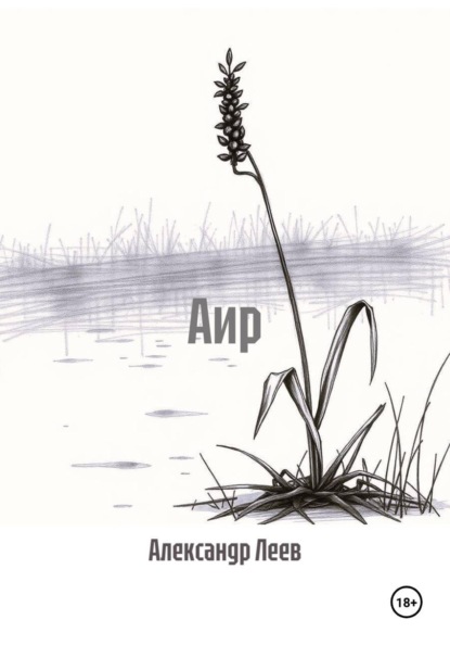 Скачать книгу Аир