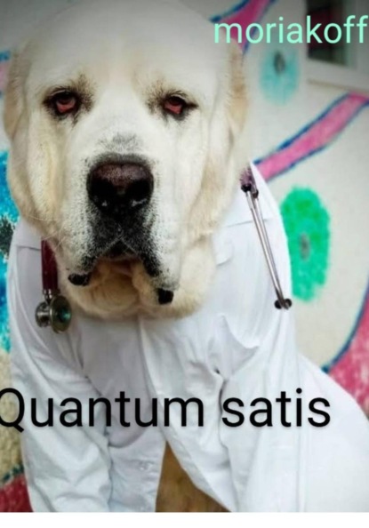 Скачать книгу Quantum satis