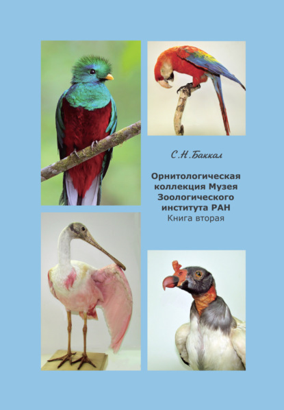 Скачать книгу Орнитологическая коллекция Музея Зоологического института РАН. Книга вторая