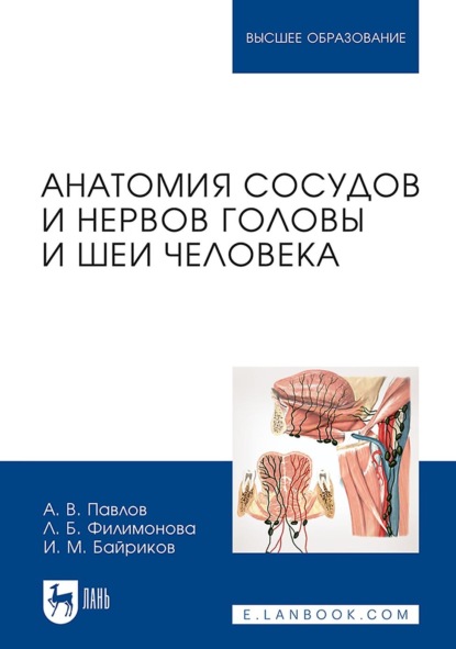 Скачать книгу Анатомия сосудов и нервов головы и шеи человека. Учебное пособие для вузов
