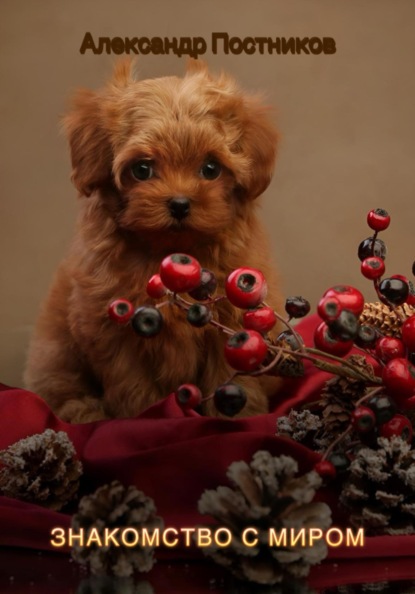Скачать книгу Знакомство с миром