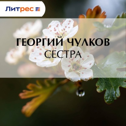 Скачать книгу Сестра