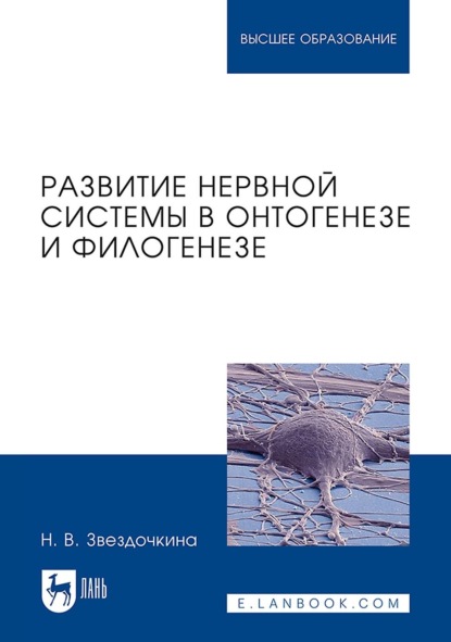Скачать книгу Развитие нервной системы в онтогенезе и филогенезе. Учебное пособие для вузов