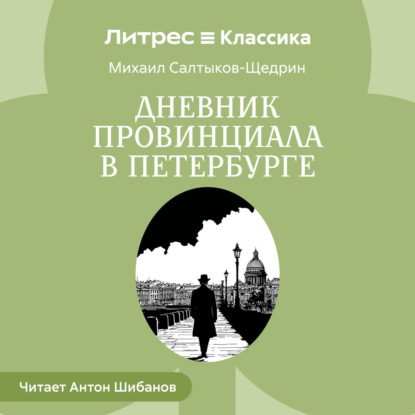 Скачать книгу Дневник провинциала в Петербурге