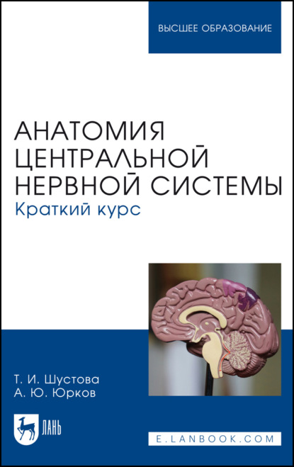 Скачать книгу Анатомия центральной нервной системы. Краткий курс. Учебное пособие для вузов