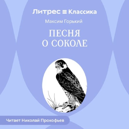 Скачать книгу Песня о Соколе