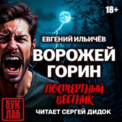 Скачать книгу Ворожей Горин. Посмертный вестник