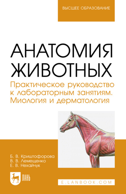 Скачать книгу Анатомия животных. Практическое руководство к лабораторным занятиям. Миология и дерматология. Учебное пособие для вузов. 2-е издание, стеротипное