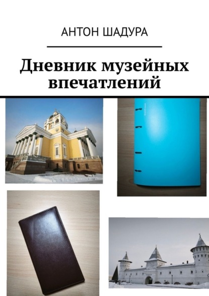 Скачать книгу Дневник музейных впечатлений