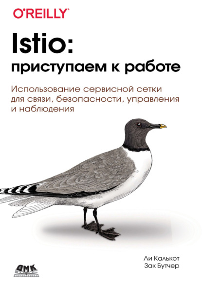 Скачать книгу Istio: приступаем к работе. Использование сервисной сетки для связи, безопасности, управления и наблюдения