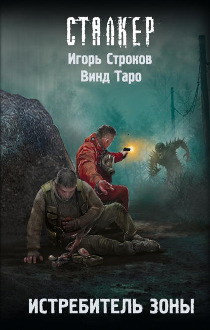 Скачать книгу Истребитель Зоны