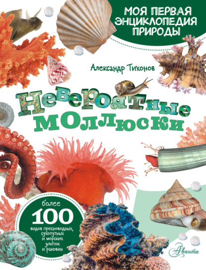 Скачать книгу Невероятные моллюски