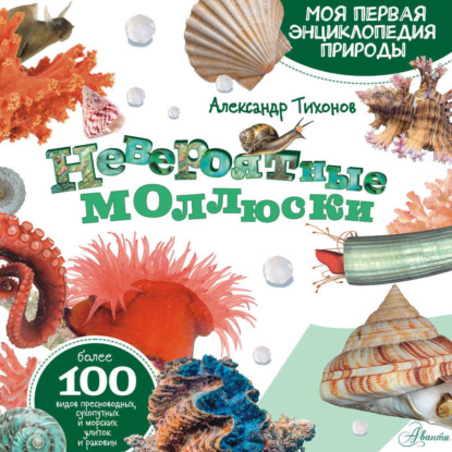 Скачать книгу Невероятные моллюски
