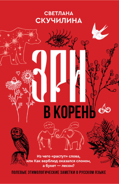 Скачать книгу Зри в корень! Из чего «растут» слова, или Как верблюд оказался слоном, а букет – лесом?