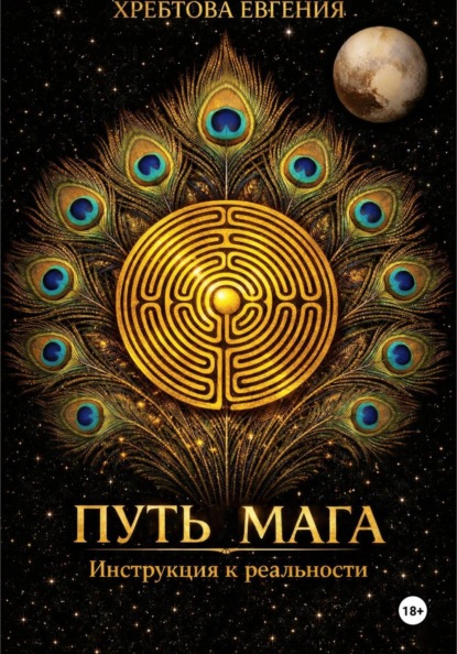 Скачать книгу Путь мага. Инструкция к реальности