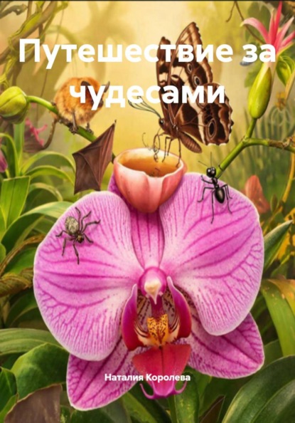 Скачать книгу Путешествие за чудесами