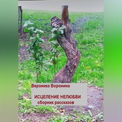 Скачать книгу Исцеление нелюбви. Сборник рассказов