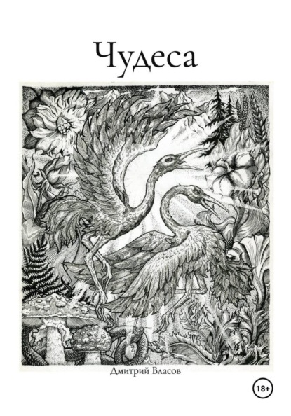 Скачать книгу Чудеса