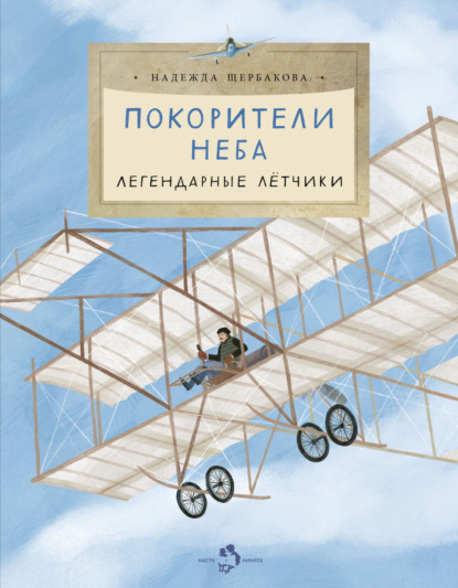 Скачать книгу Покорители неба. Легендарные летчики