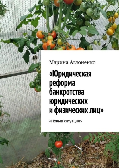 Скачать книгу Юридическая реформа банкротства юридических и физических лиц. Новые ситуации